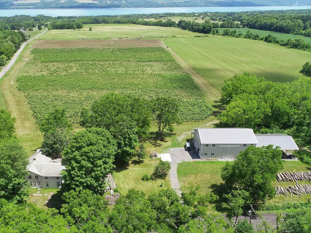 Airy Acres Vineyard photo 3