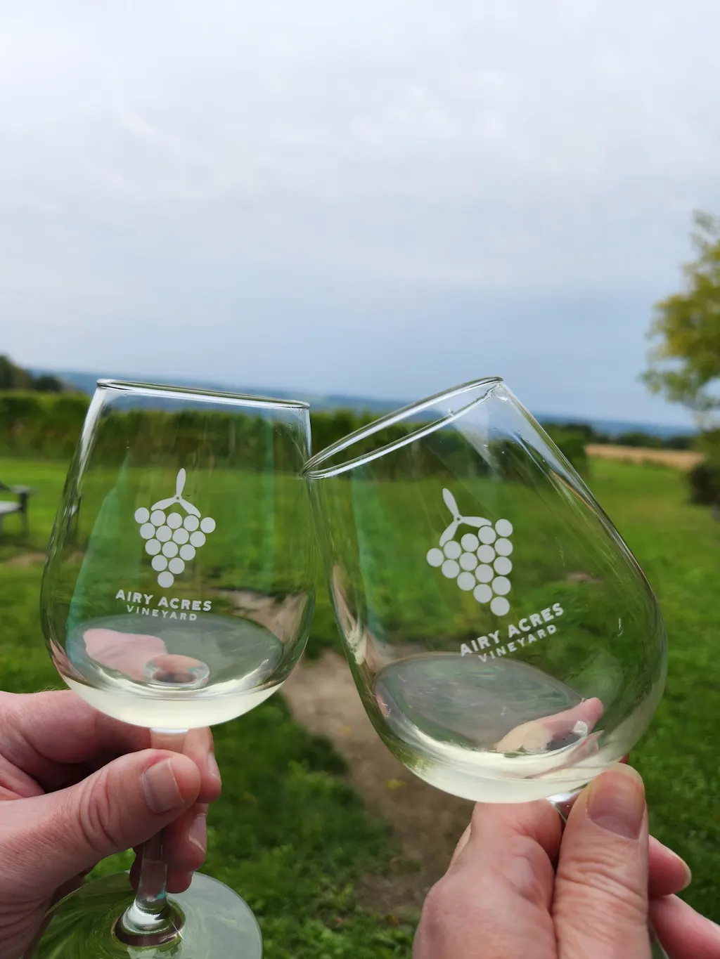 Airy Acres Vineyard photo 5