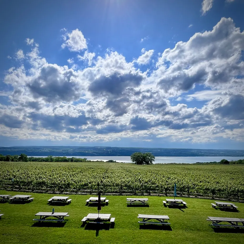 Wagner Vineyards Estate Winery photo 3