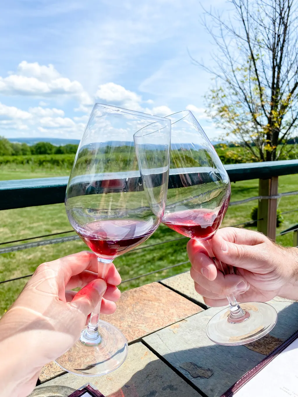 Hickory Hollow Wine Cellars photo 4