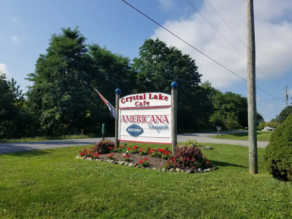Americana Vineyard