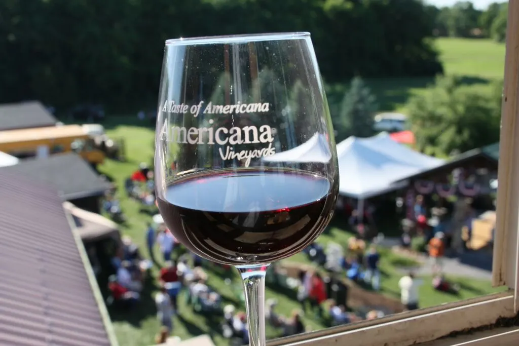 Americana Vineyard photo 5
