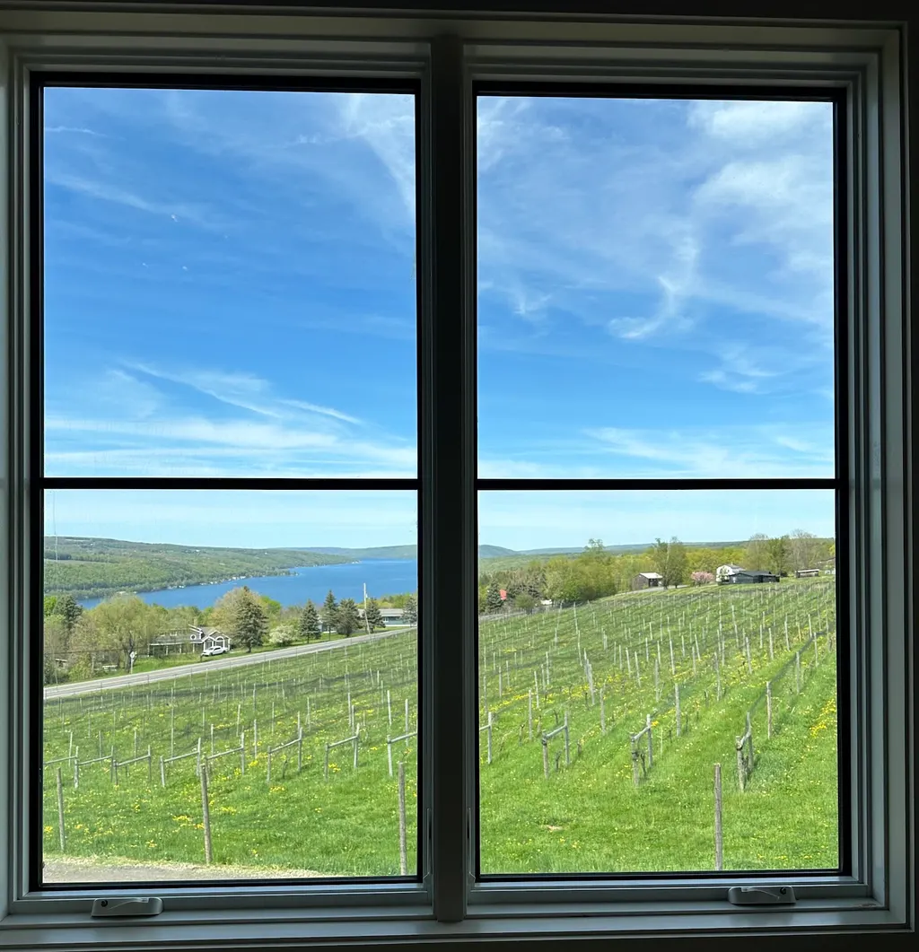 Living Roots Finger Lakes photo 3
