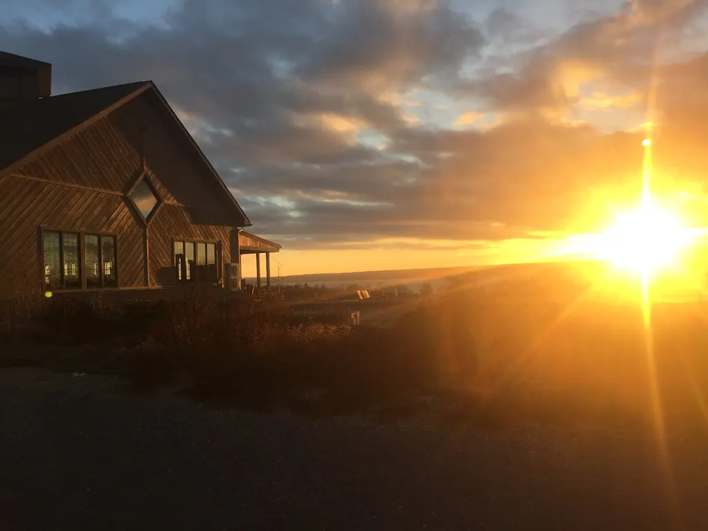 Zugibe Vineyards photo 3