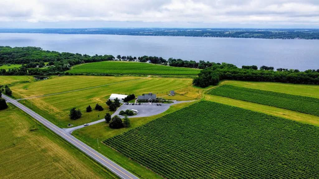 Zugibe Vineyards photo 4