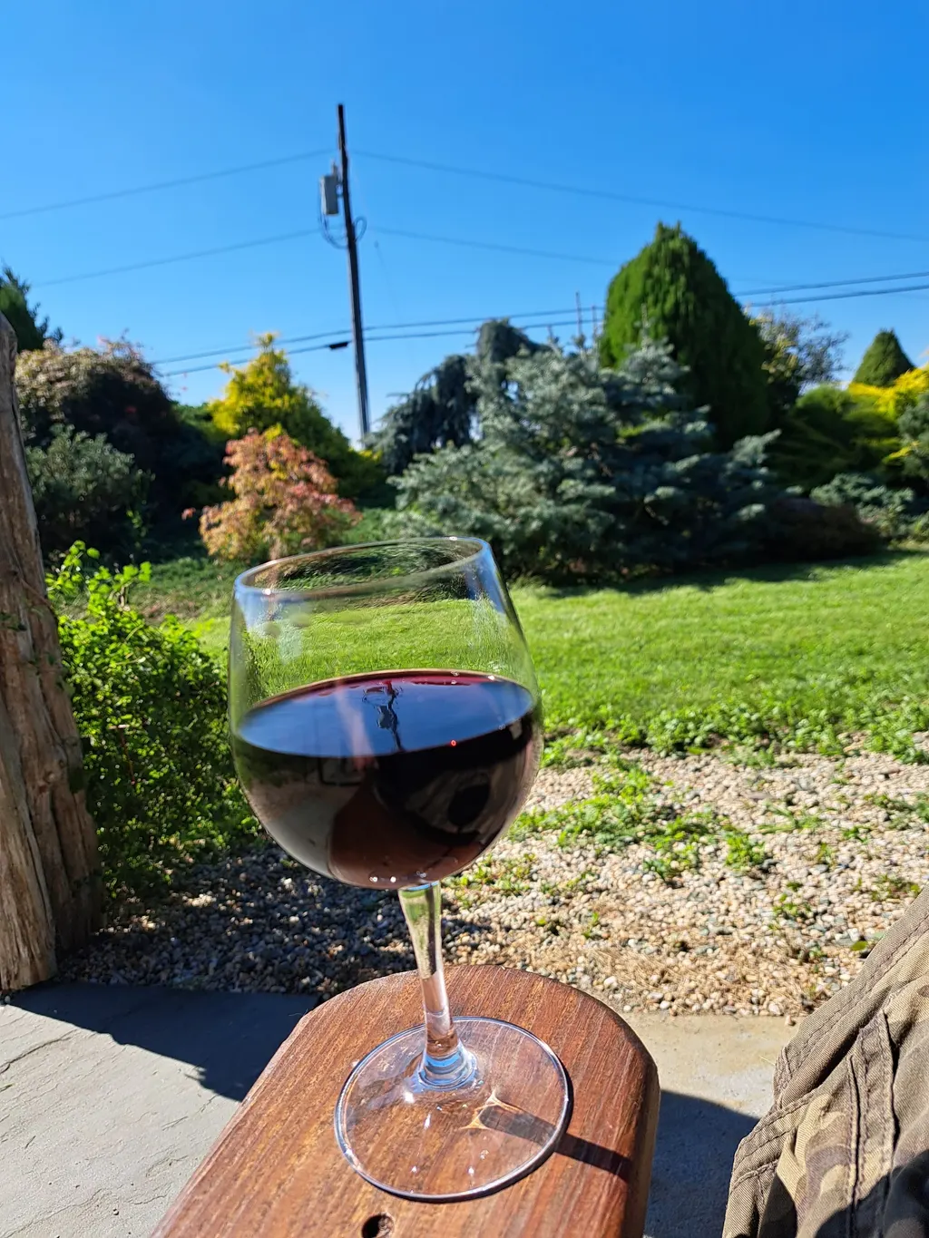 Shalestone Vineyards photo 3