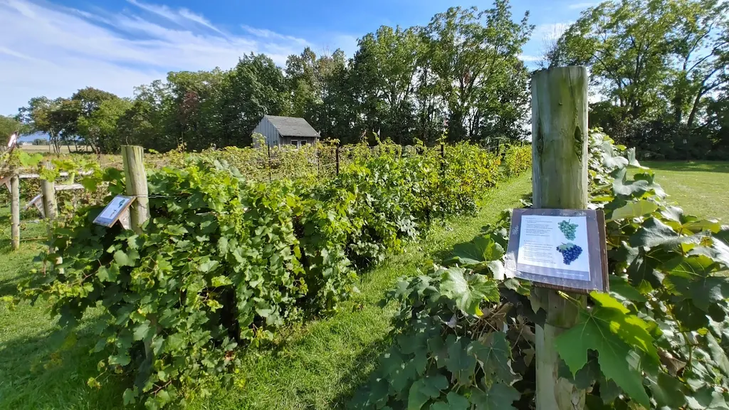 Anthony Road Wine Company photo 2