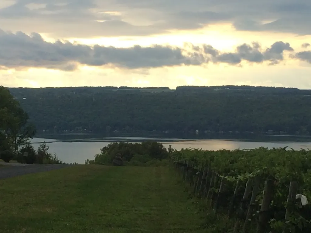 Flatt Rock Wine Cellars photo 5